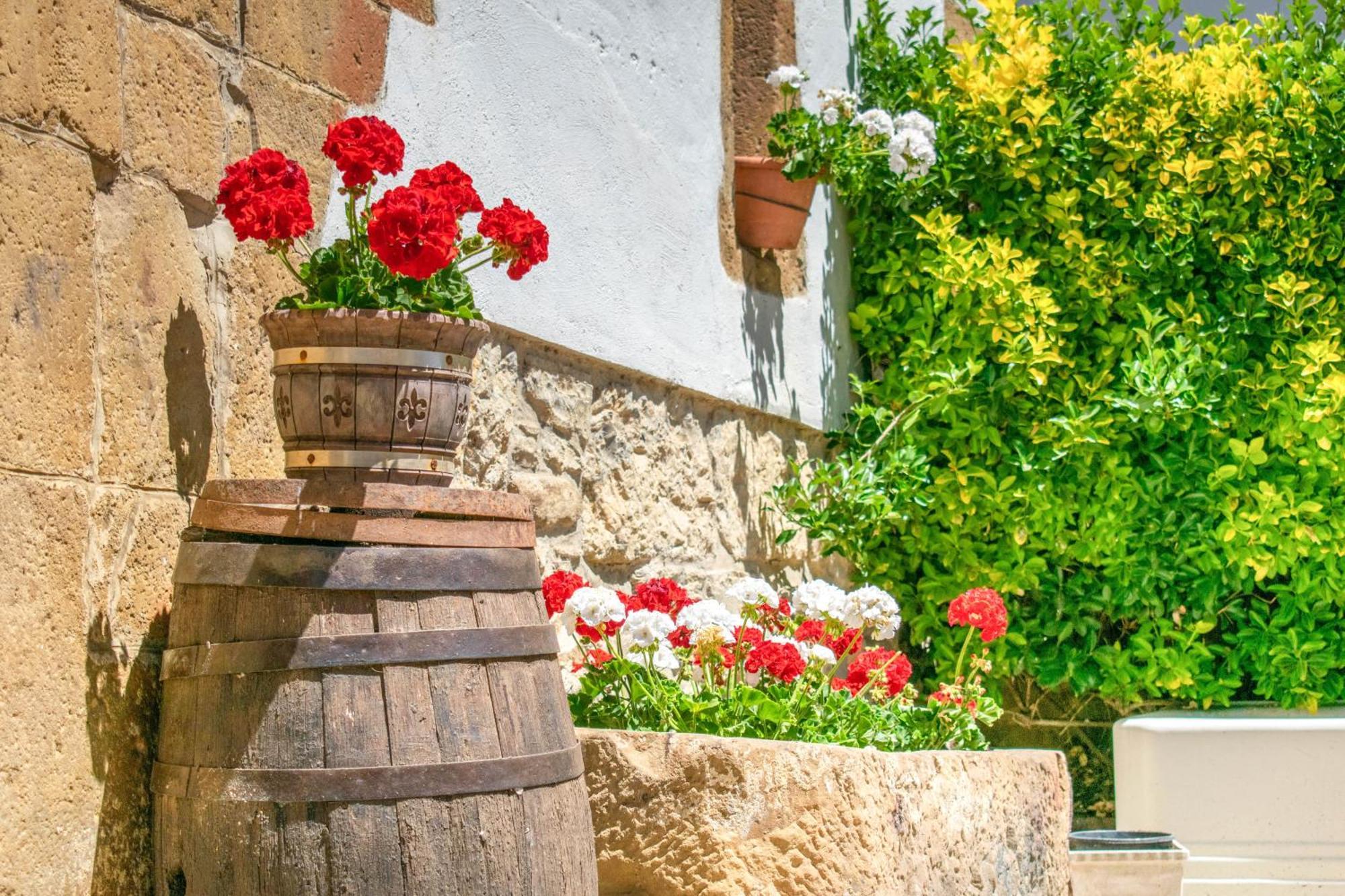 Casa Rural Arotzenia, Hogar Rustico En Pleno Valle De La Ulzama Lizaso エクステリア 写真