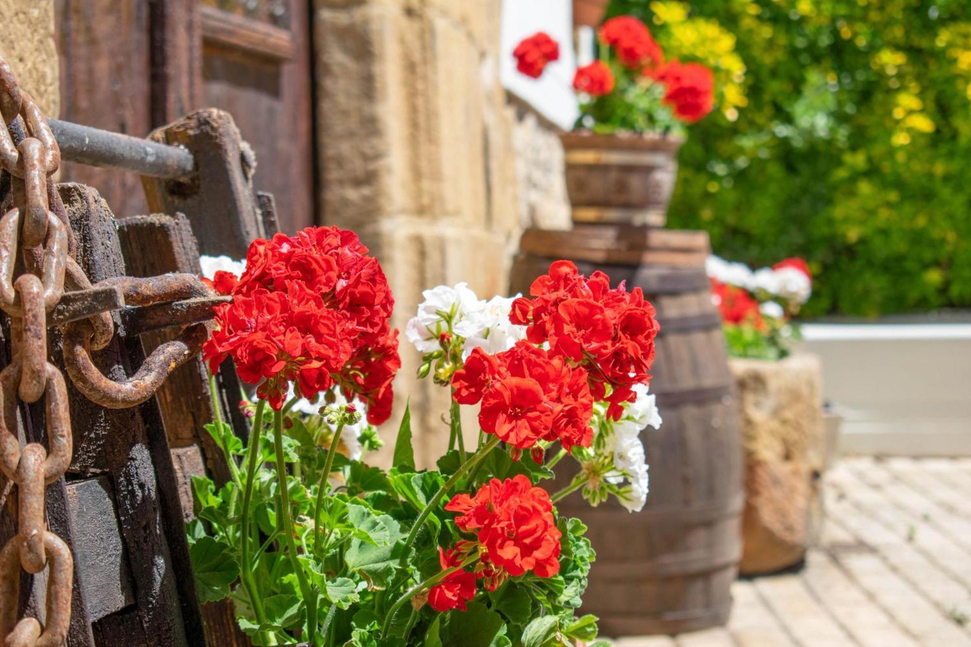 Casa Rural Arotzenia, Hogar Rustico En Pleno Valle De La Ulzama Lizaso エクステリア 写真